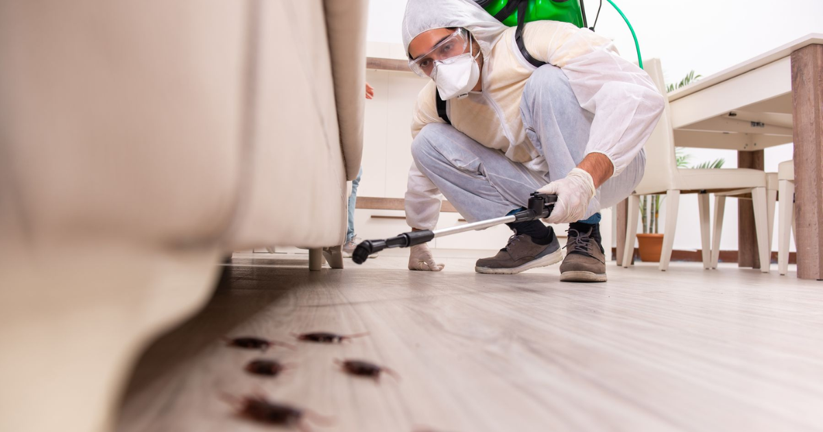 24 Hour Rodent Removal Service Los Angeles County: Your Ultimate Emergency Guide